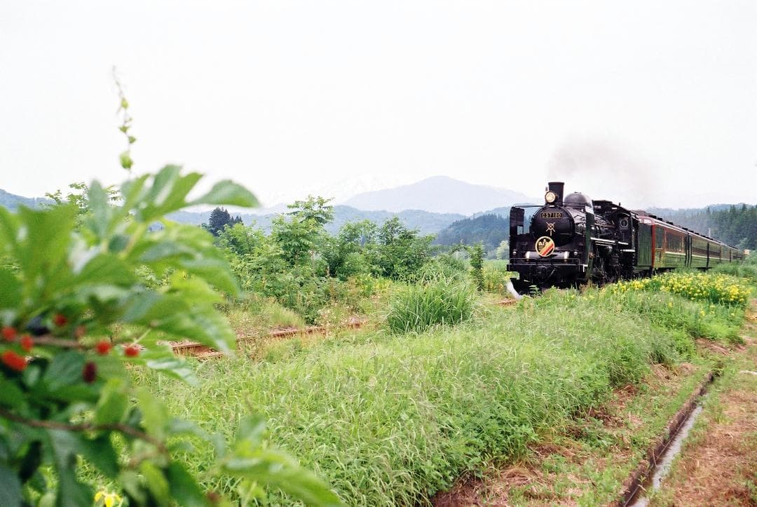 実写確認済整備品】フォクトレンダーVITOⅡa／カラースコパー50mmf3.5