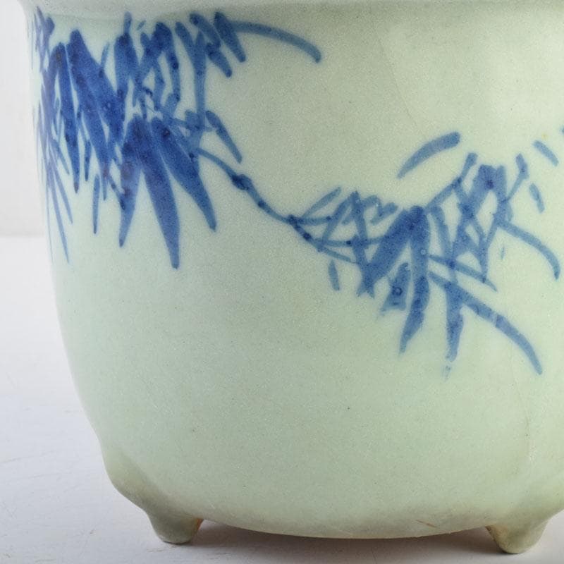 瀬戸焼古瀬戸青磁染付竹文鉢植木鉢C8792