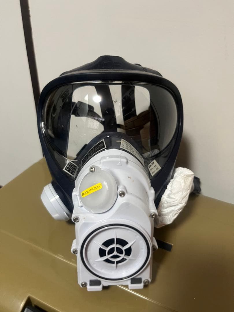 ✴︎塗装橋梁マスク✴︎