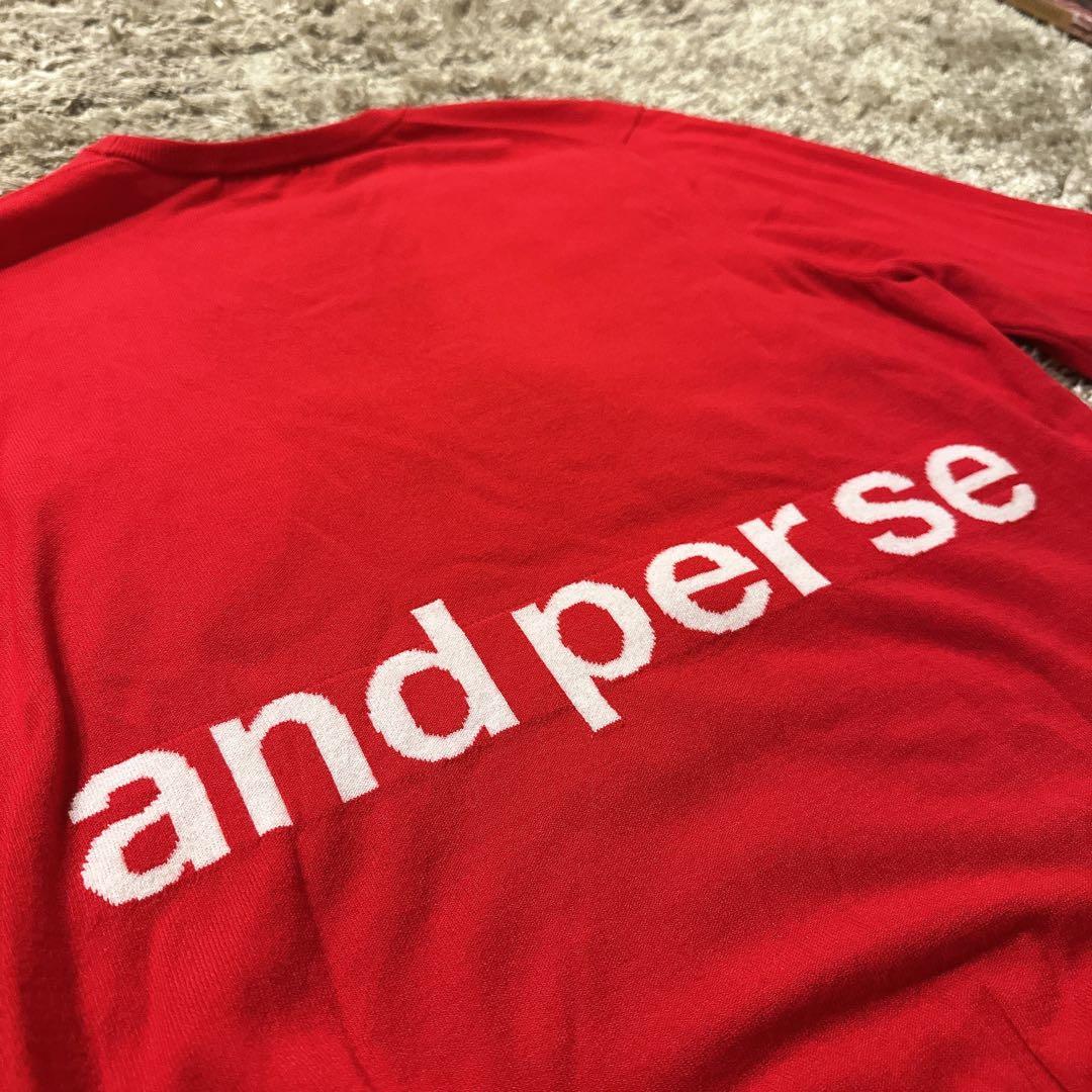 【新品相当】and per se アンパスィ 刺繍 レッドセーター