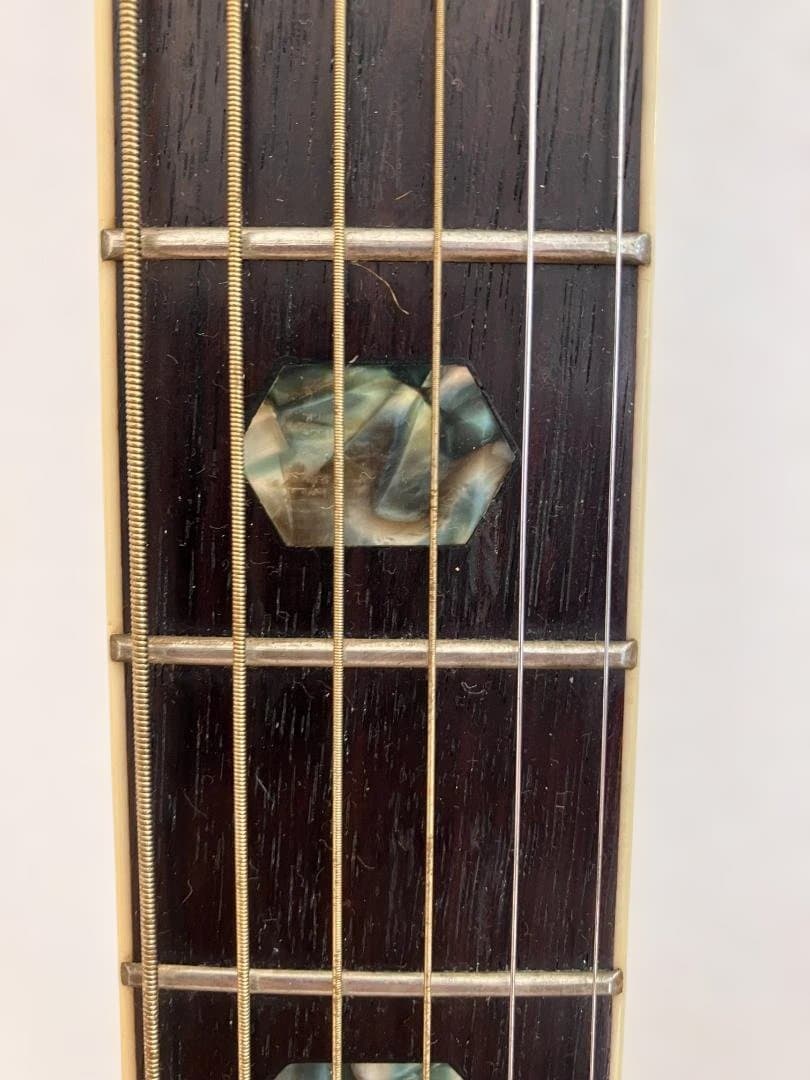 サンバースト・縦ロゴ】Morris W-40 3Pバック ハードケース付 - メルカリ