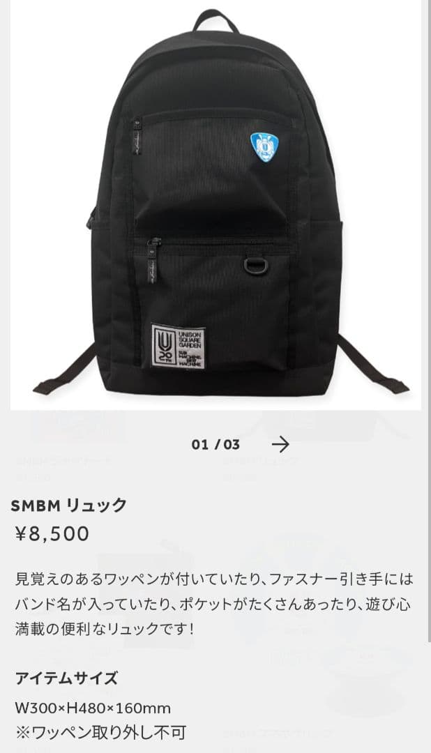 UNISON SQUARE GARDEN 20th USG リュック ユニゾン