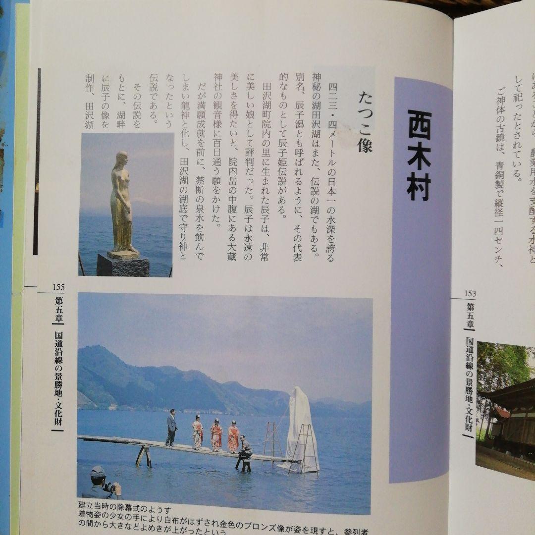 水墨画 色紙 舟越保武 たつこ姫