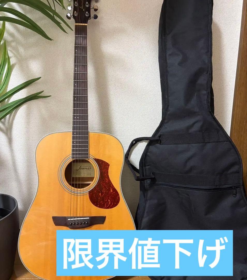 美品】James J-300A NAT アコースティックギター ソフトケース付