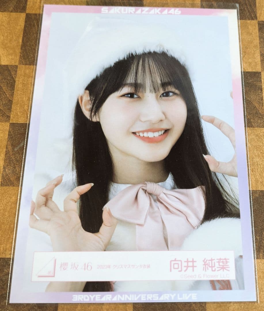 櫻坂46 向井純葉生写真直筆サイン2023クリスマス衣装(ヨリ)