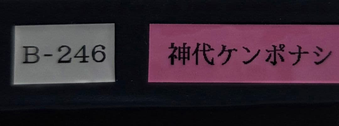 【新品未使用品】野原工芸 60本限定 神代ケンポナシ縮杢 スタンダードボールペン
