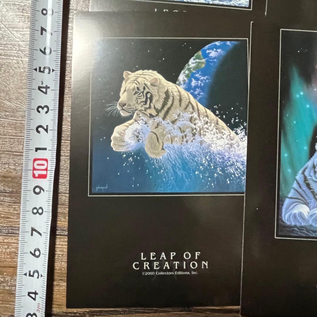 ブラックポストカード 5枚セット シムシメールコレクション - メルカリ