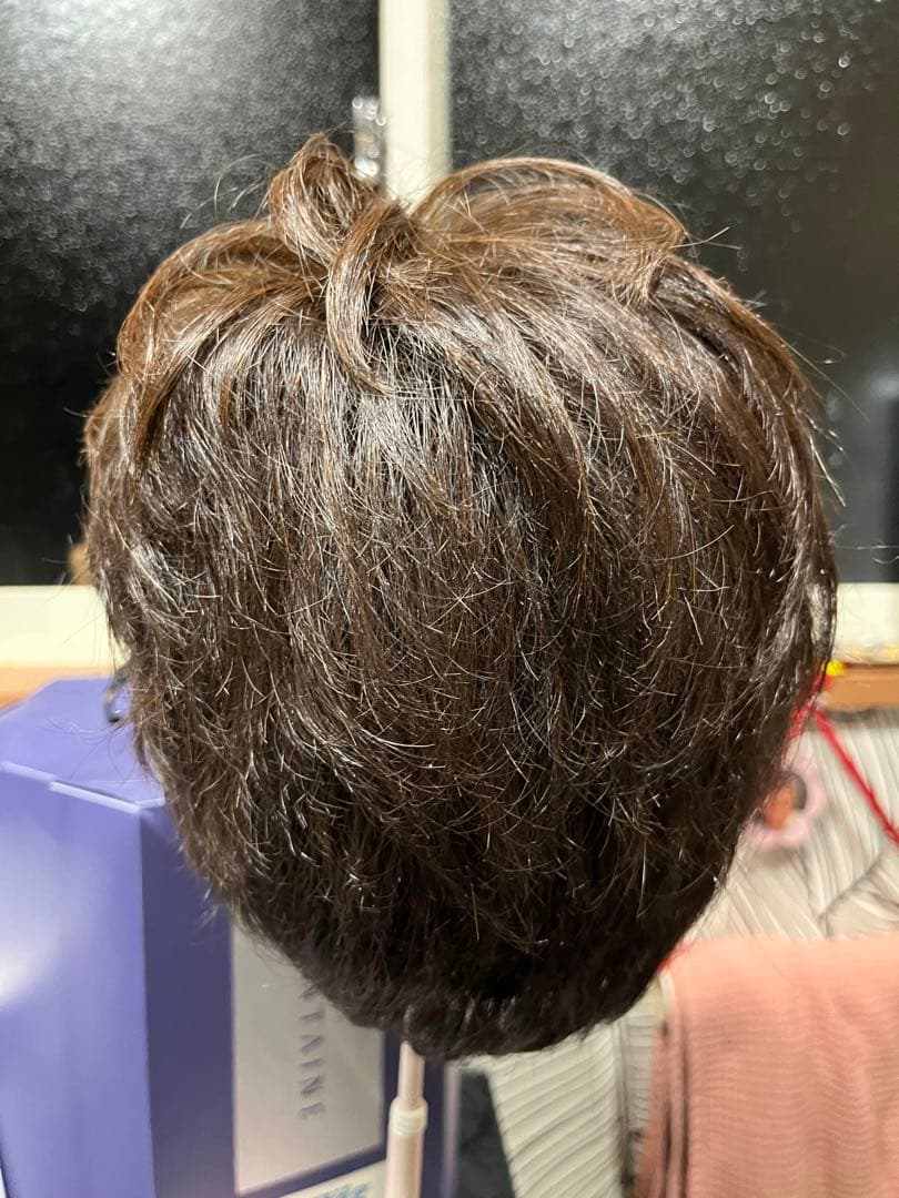 【最終割引‼️】レディースショートウィッグ