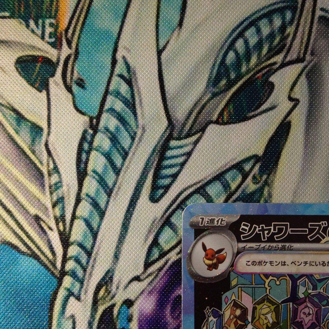 【ポケカ】ブラッキーex セット