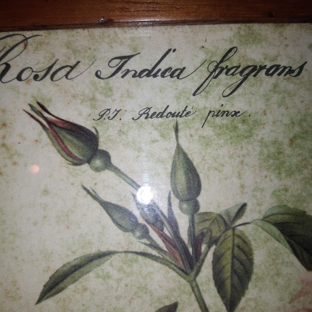 P.J.ルドゥーテ　薔薇　プリント　絵　額