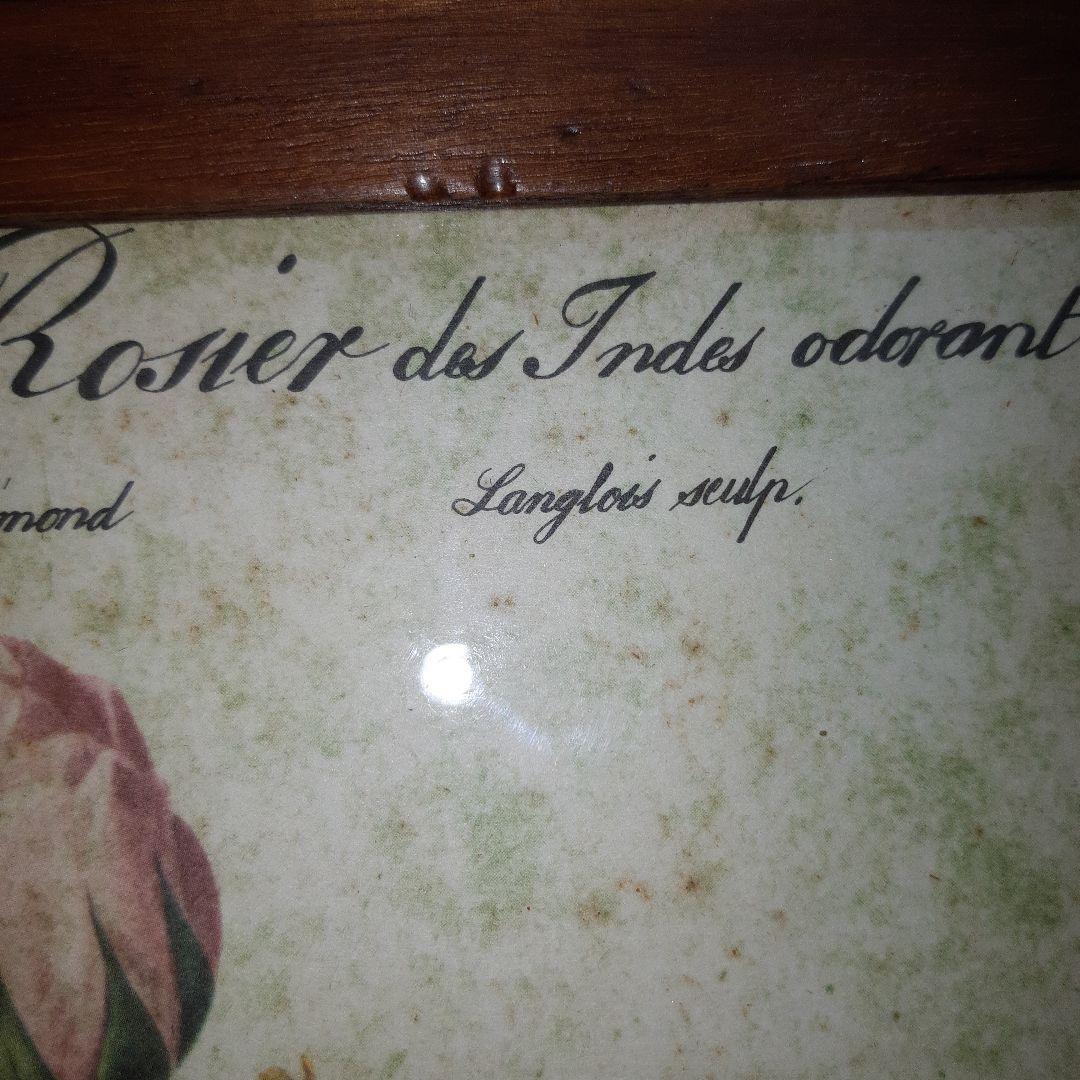 P.J.ルドゥーテ　薔薇　プリント　絵　額