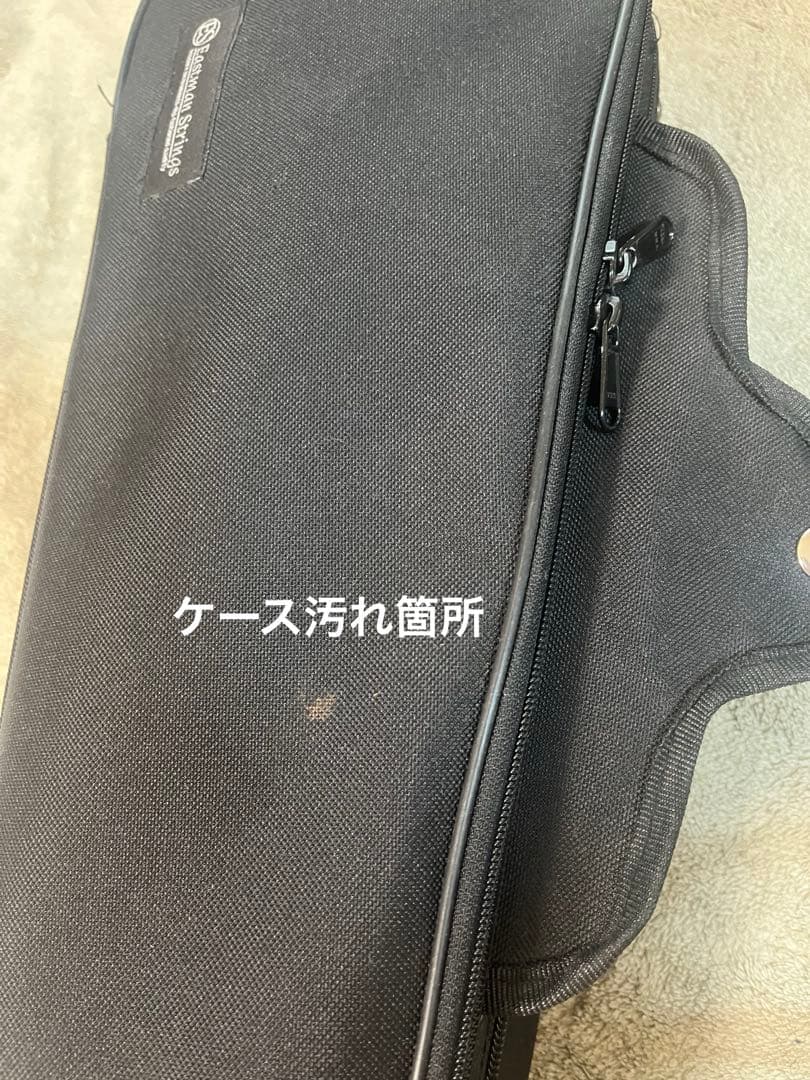 Andreas Eastman VL80 1/10サイズ　2018年製バイオリン