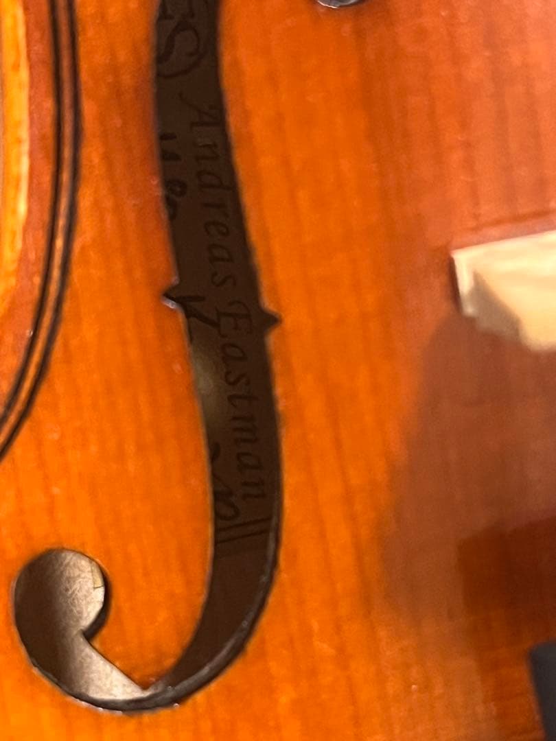 Andreas Eastman VL80 1/10サイズ　2018年製バイオリン