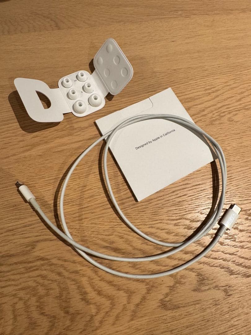 AirPods Pro2 ケース／ケーブル／イヤーピース付き A2698