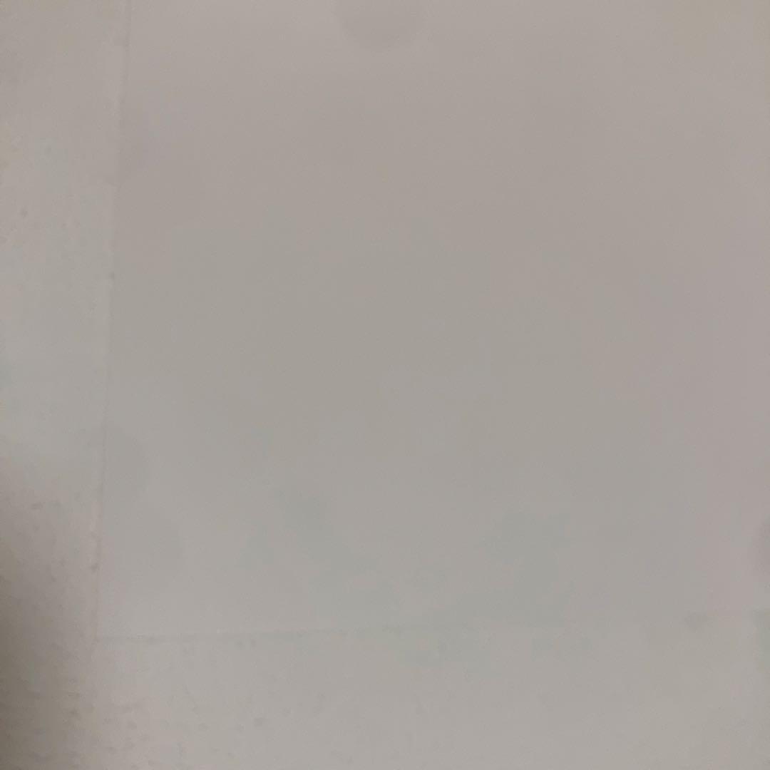 MATISSE litgraphies EAUX FORTESギャラリーポスター