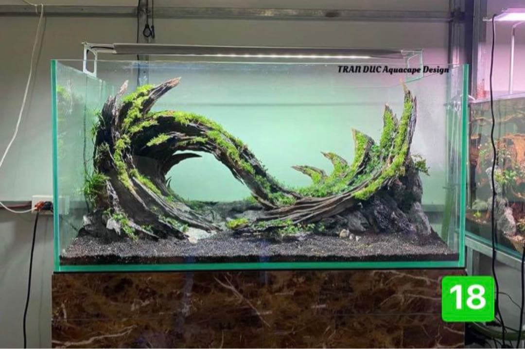 盆栽流木 水草用の 流木。流木アクアリウム パルダリウム マシンガンウッド