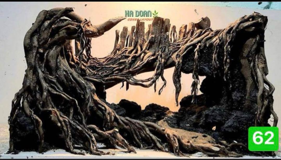 盆栽流木 水草用の 流木。流木アクアリウム パルダリウム マシンガンウッド