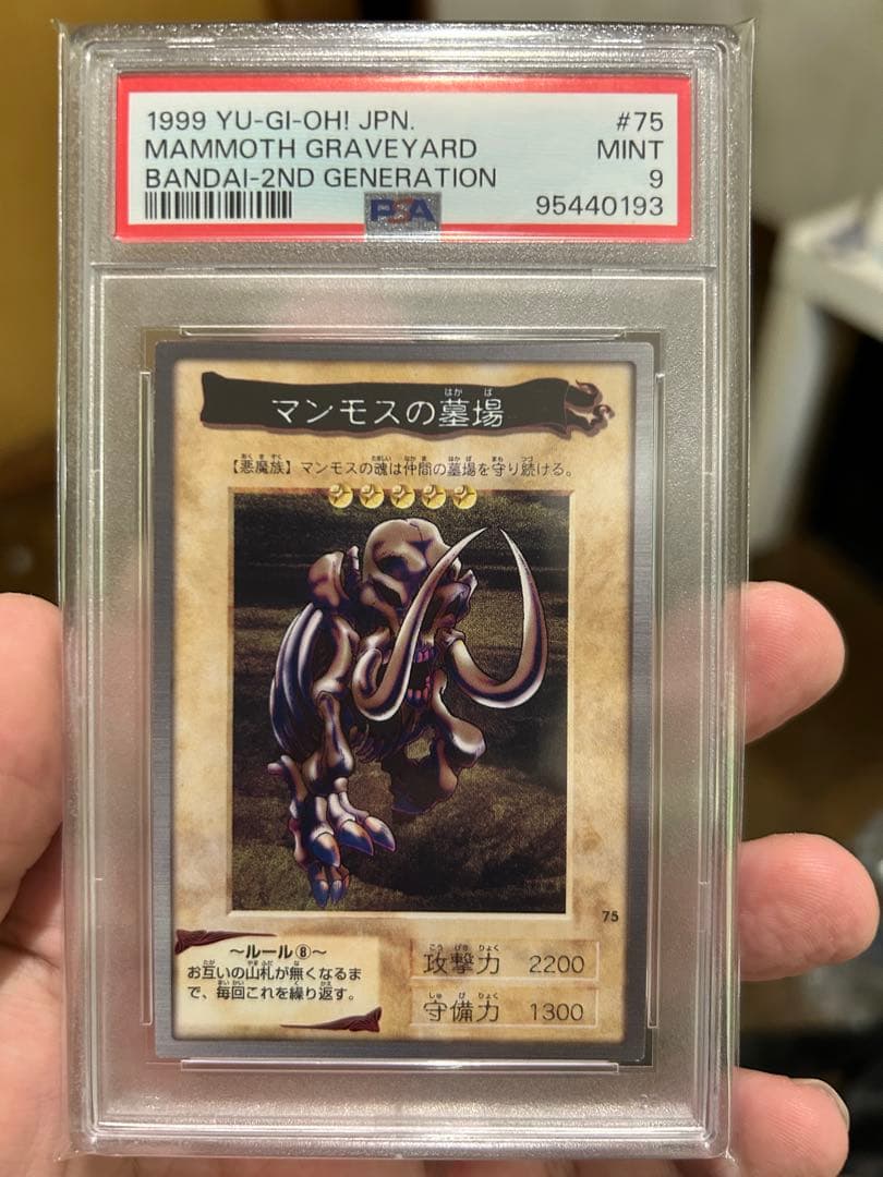 ジ*ン様 バンダイ カードダス 遊戯王 PSA各19枚セット まとめ売り