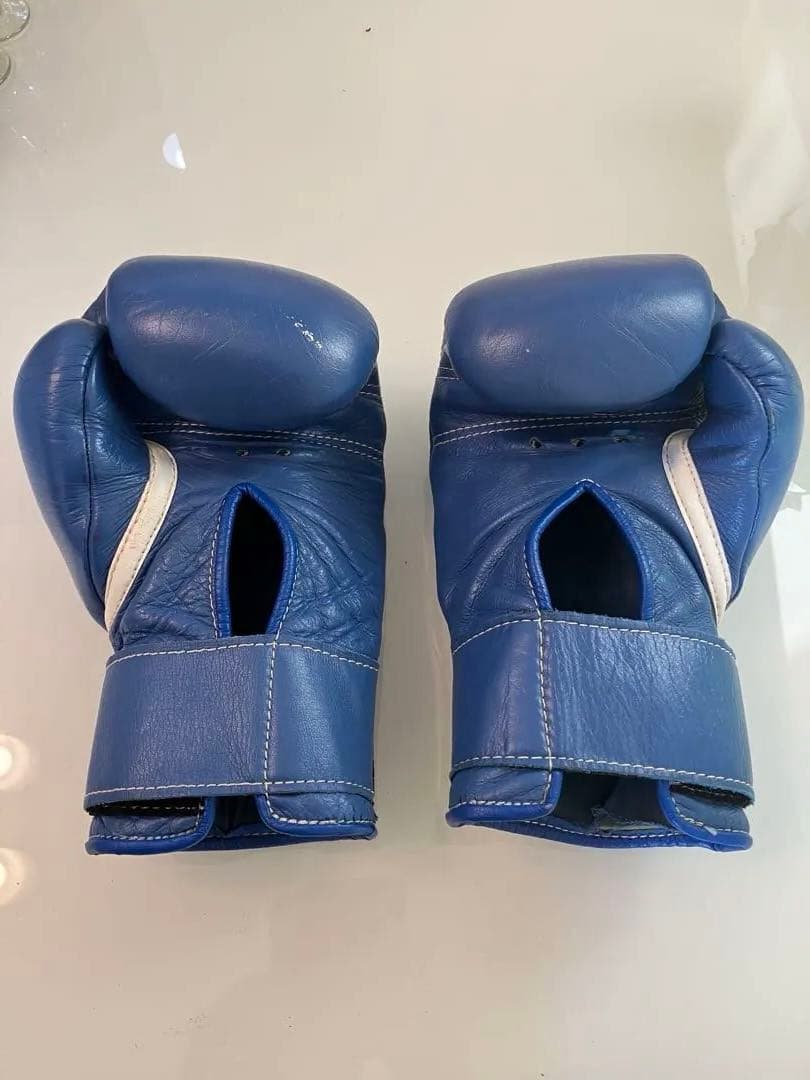 Winning ボクシンググローブ 10oz 青 - メルカリ