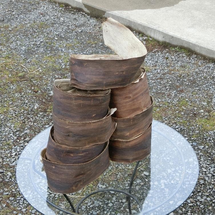 kico 胡桃 くるみ クルミ 皮 樹皮 約5kg