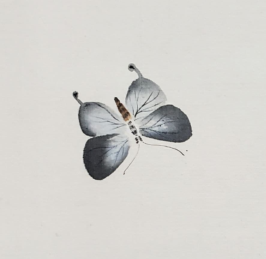 蝶と狆図】清春 2560 チン 犬 掛け軸 肉筆