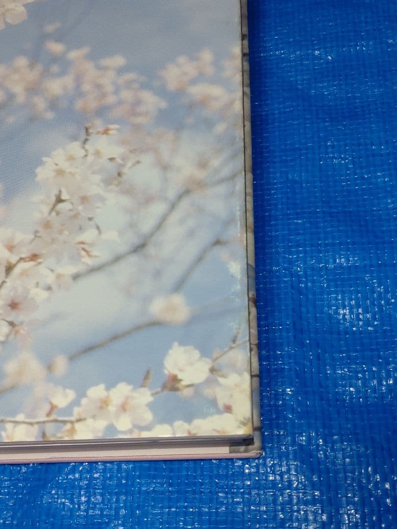 日本産クワガタムシ大図鑑 吉田賢治著 虫研 - メルカリ