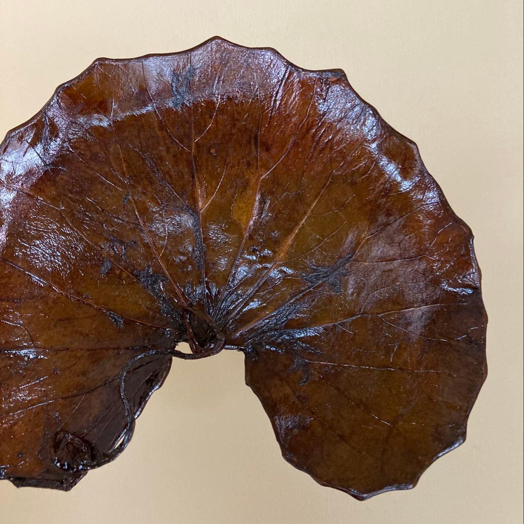 R*O様 茶道具 山中漆器 信斉作 一閑張 石蕗 干菓子盆 漆器 塗箸 共箱・栞