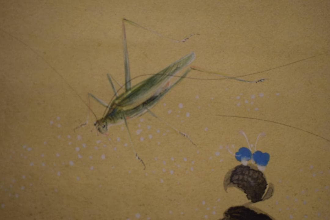 真作/朝見香城/虫図/キリギリス図/扇面/金散らし/布袋屋掛軸HI-720