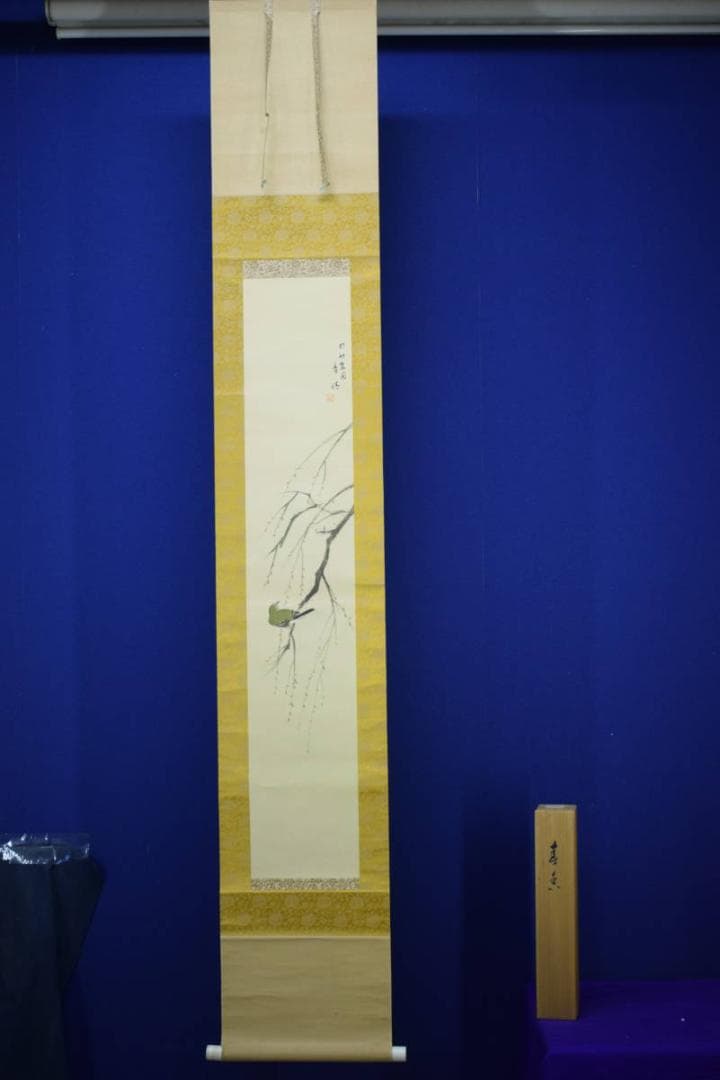 真作/秀情/枝垂れ梅に鴬図/秀嶺の桐極箱付/布袋屋掛軸HF-653