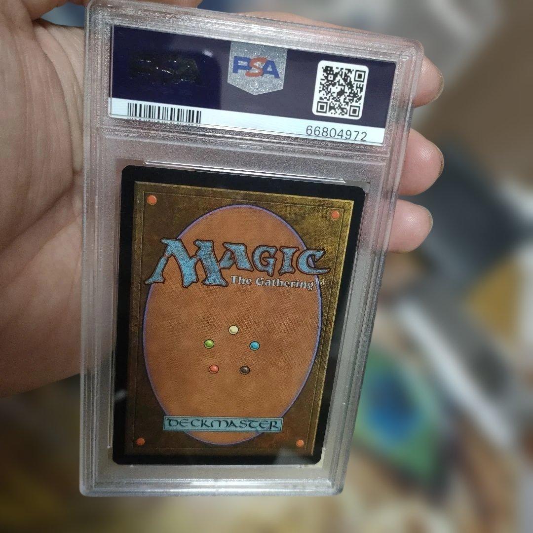 マジック：ザ・ギャザリング 1997 Magic: The Gathering Intuition