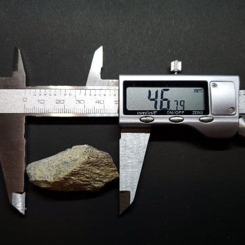 希少 ティラノサウルス 化石 骨 本物 アメリカ産 46.79mm tb105