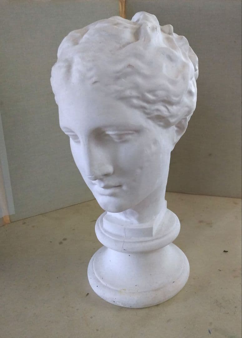 ☘️超レア 双魚金剛二眼天珠 ジービーズ Dzi ネックレス