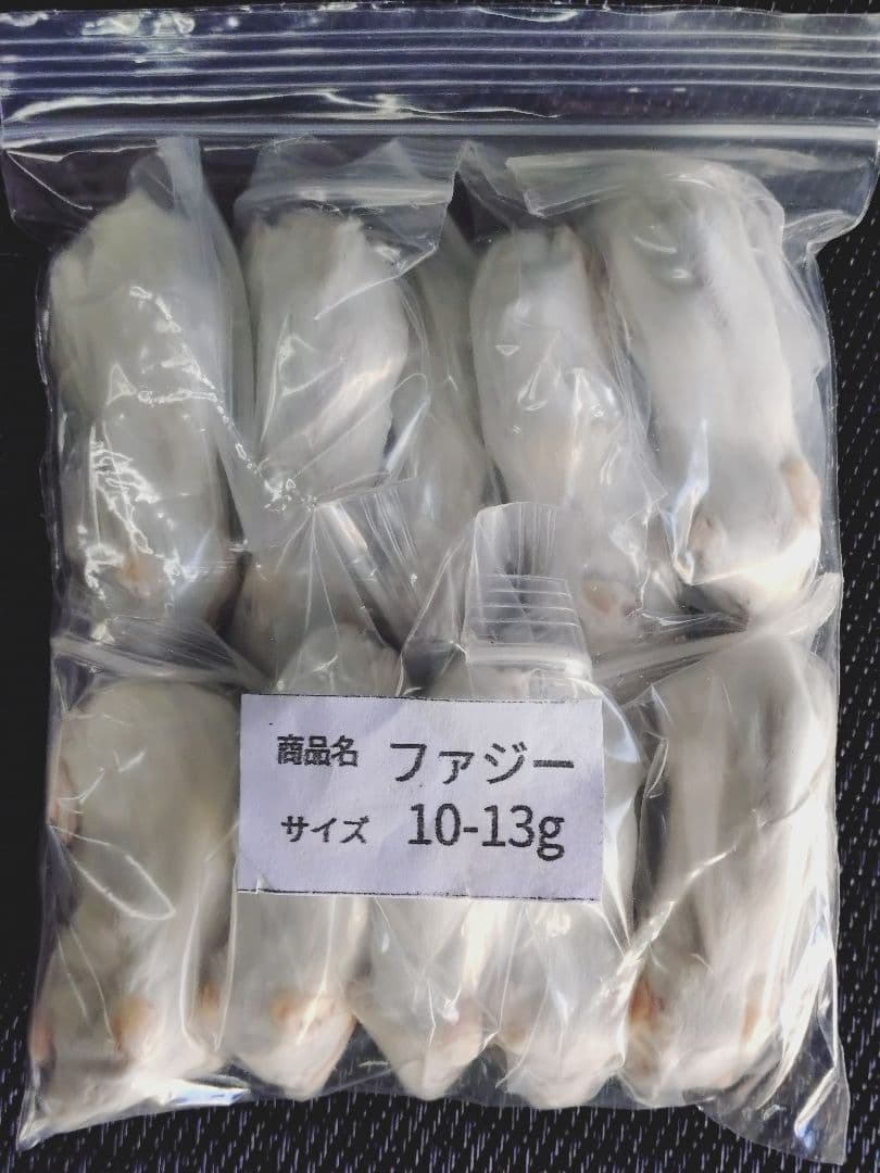 送料無料 冷凍マウスファジー100匹 - メルカリ