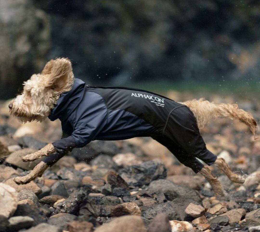 LL】レインドッグガード ALPHAICON アルファアイコン