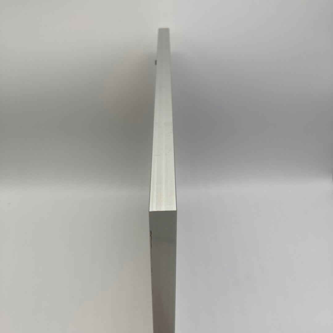 レア】 モルフォ蝶 アート 標本 芸術 コレクション 海外 美術 絵 昆虫 ⑥