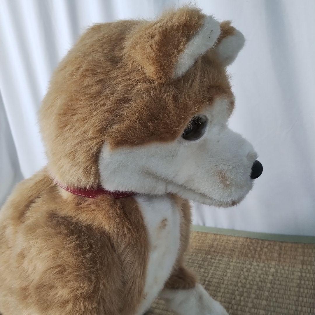 z【一部難あり】 電動 ペットロボット ココチモ 愛犬しばちゃん 等身大 柴犬