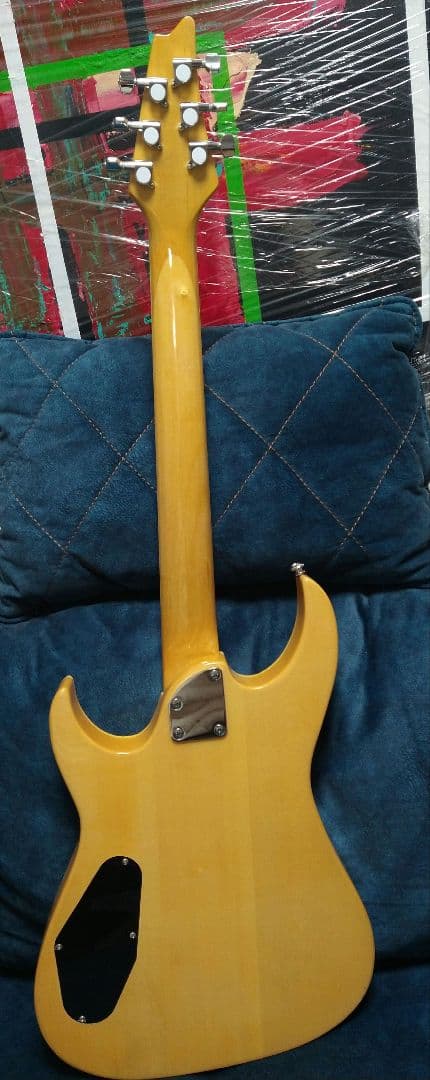 新品 カスタムメイド エレキギター バードアイメープルトップ＆バスウッドボディ