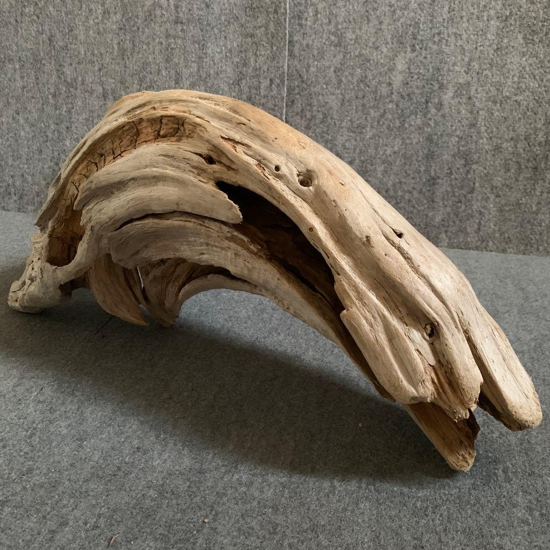 アク抜き済み流木 No.096 白系 - メルカリ