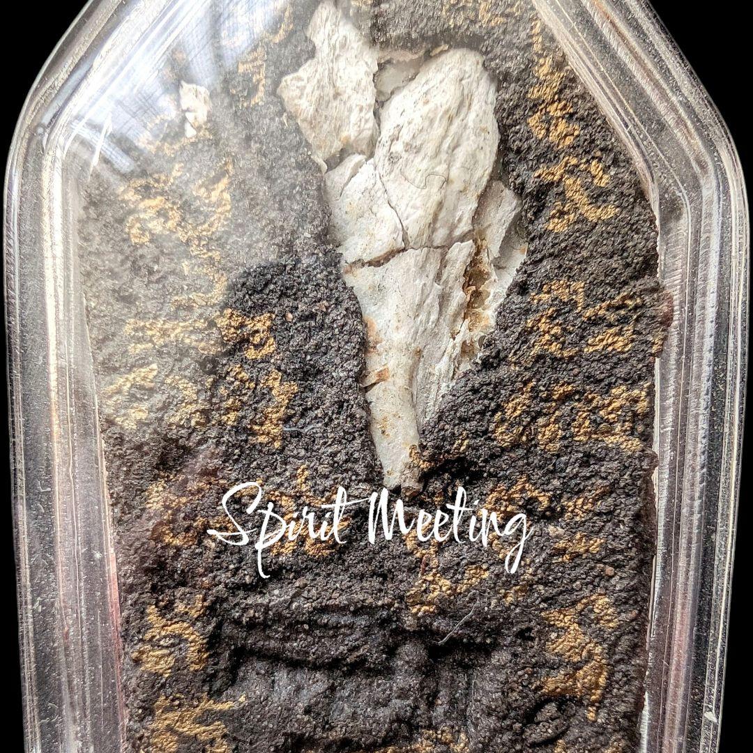 呪術系プラクンペーンの至宝 2554一期陰法十四靈鬼法