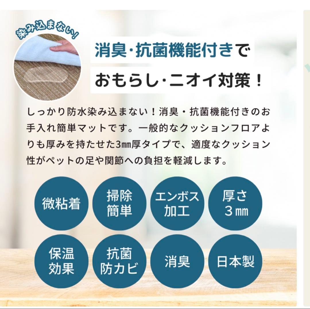 新品】40%off 抗菌消臭フロアマット 約45×60 cm 日本製 ペット