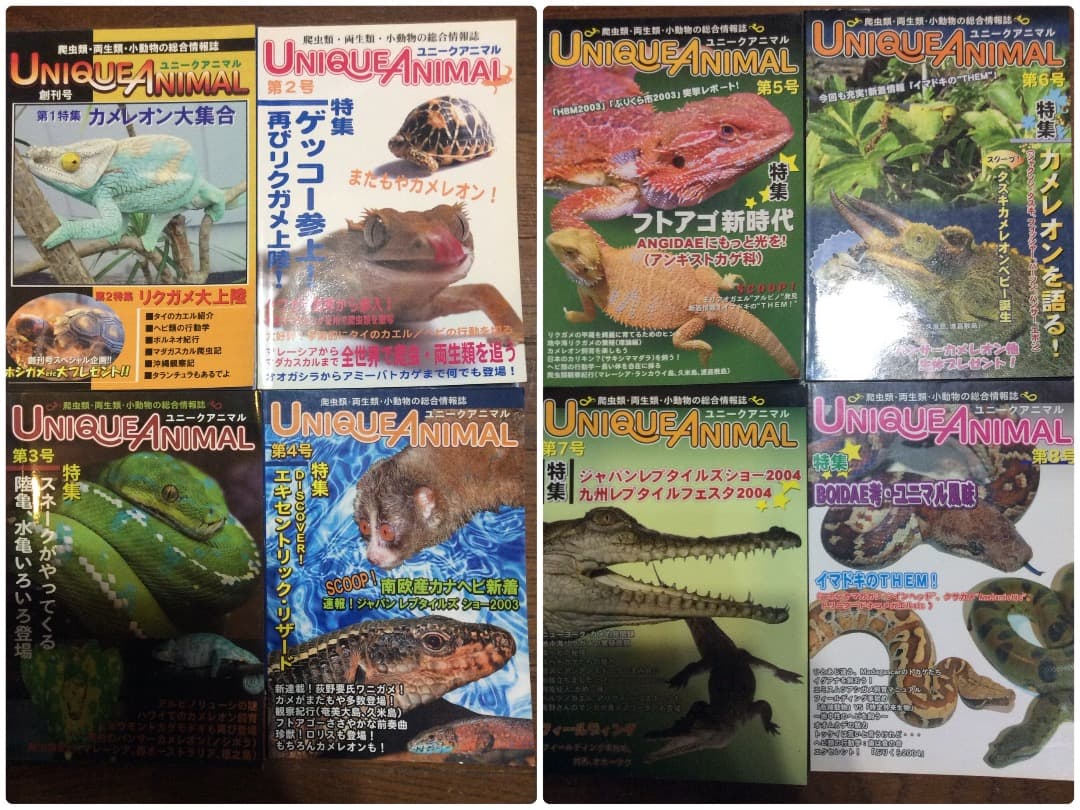 UNIQUE ANIMAL ユニークアニマル 創刊〜第8号 全8冊 東海メディア Awesome Weird Animals - (Awesome Nature) by Joshua George