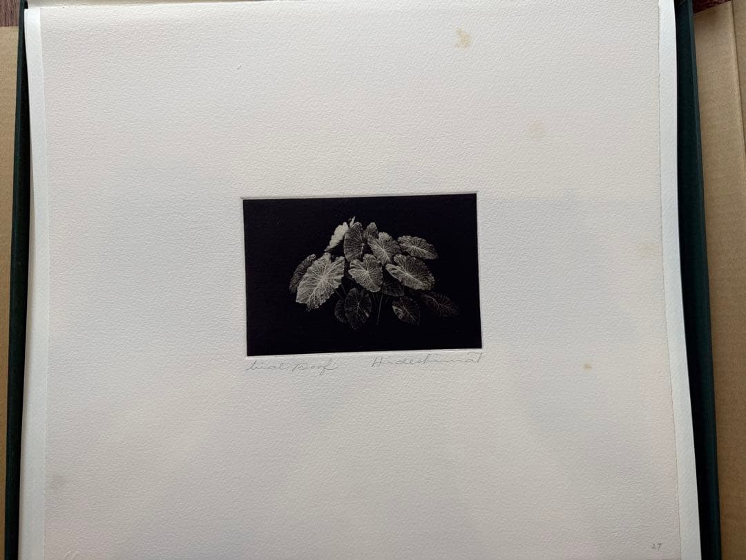 秀島由己男 版画集 春の城シリーズ 草の道