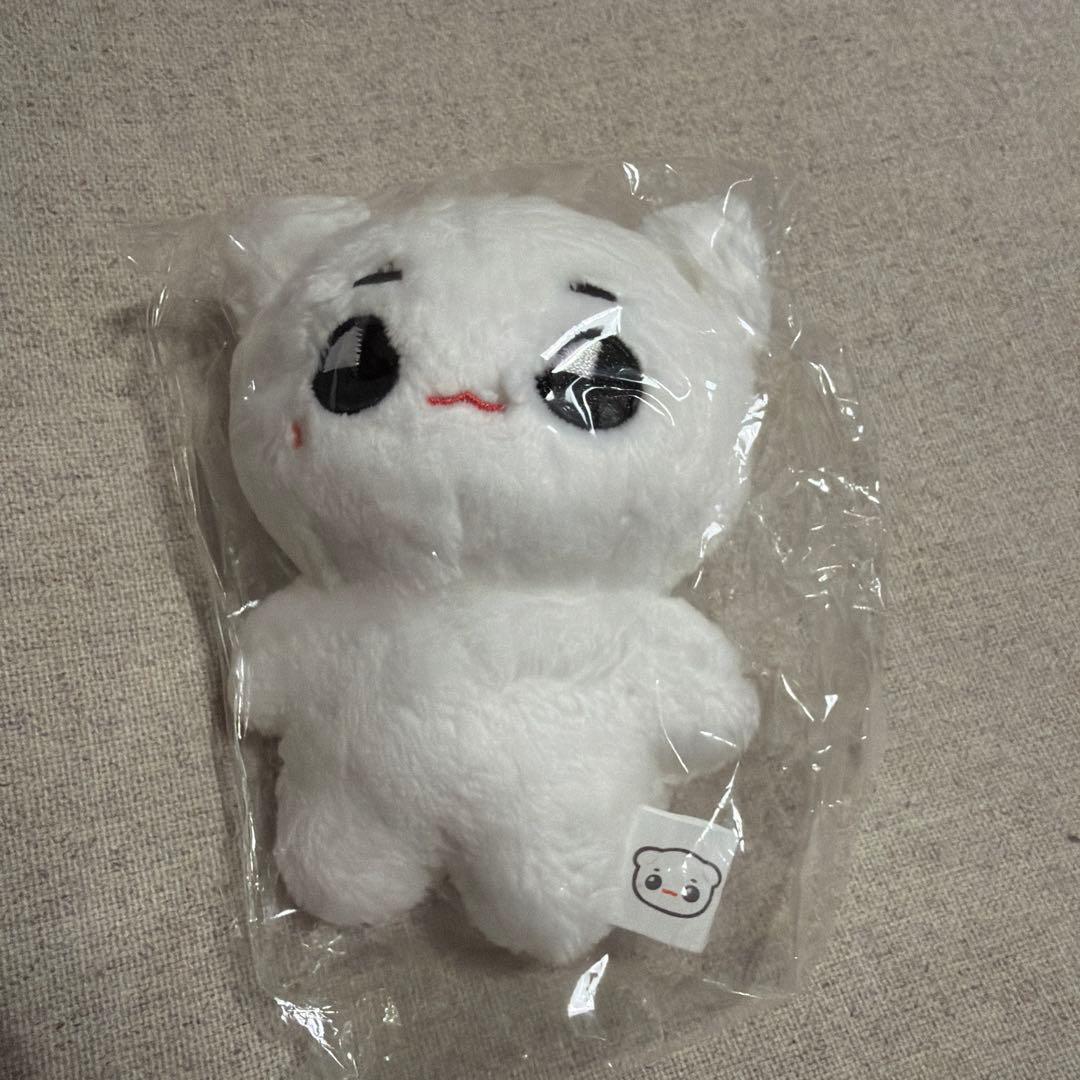 NCT127 テヨン ぬいぐるみ 툥야 テョンヤ 美品 - メルカリ