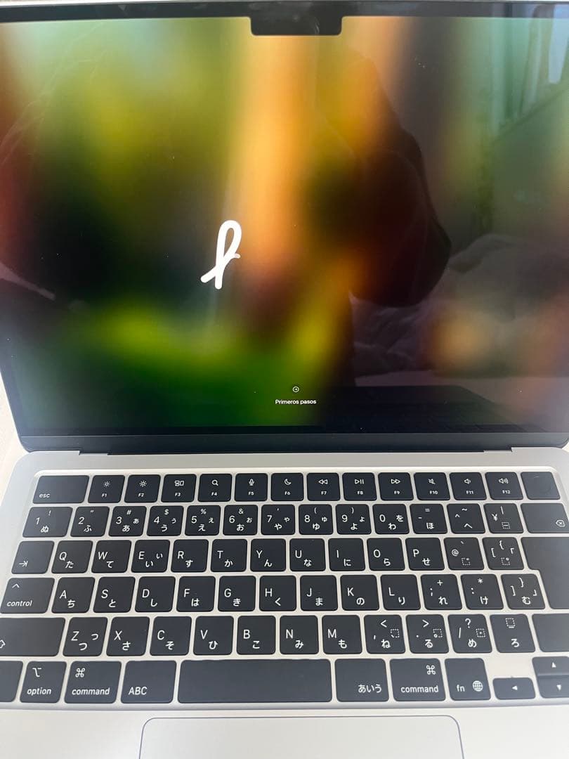 MacBook Air 13インチ M4 スカイブルー お値下げ交渉可能