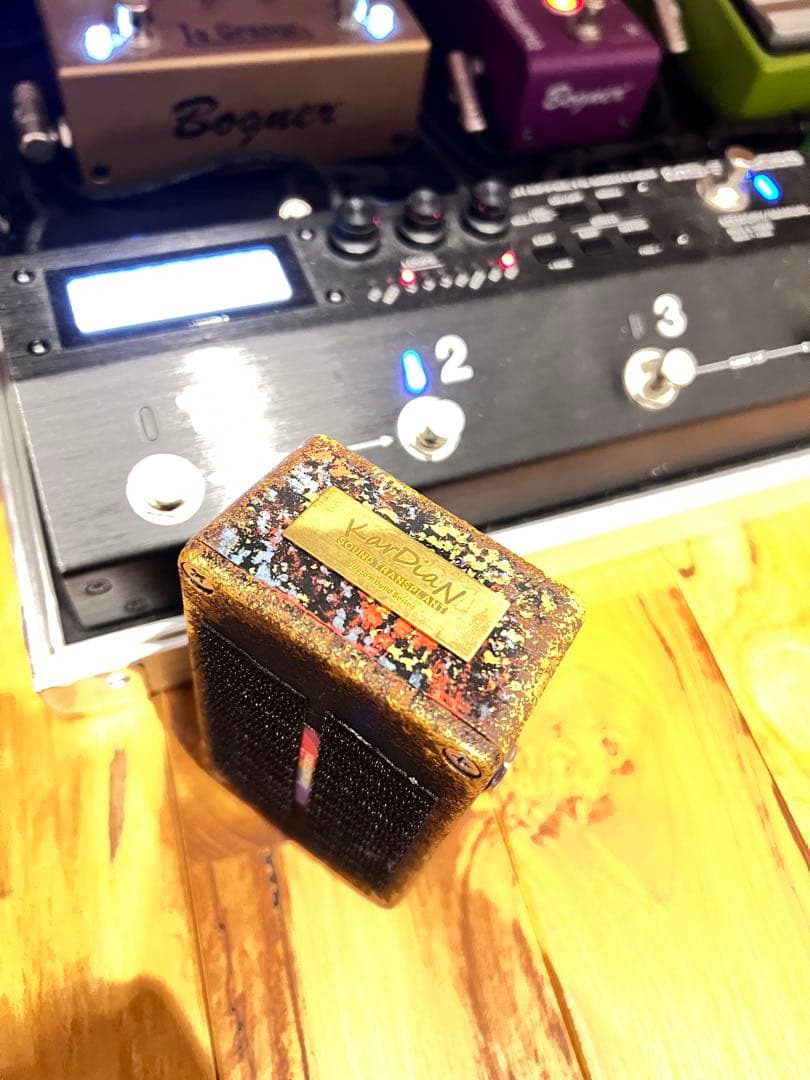 もう下げません❗️早い者勝ち❗️KarDiaN C3H5N3O9 M6 300台限定