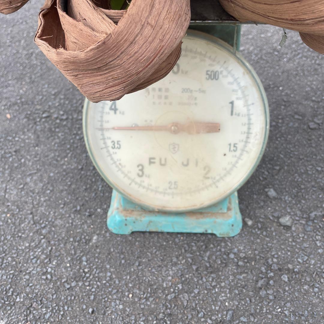 kei様用 山葡萄　皮　約4.8キロ　一番皮