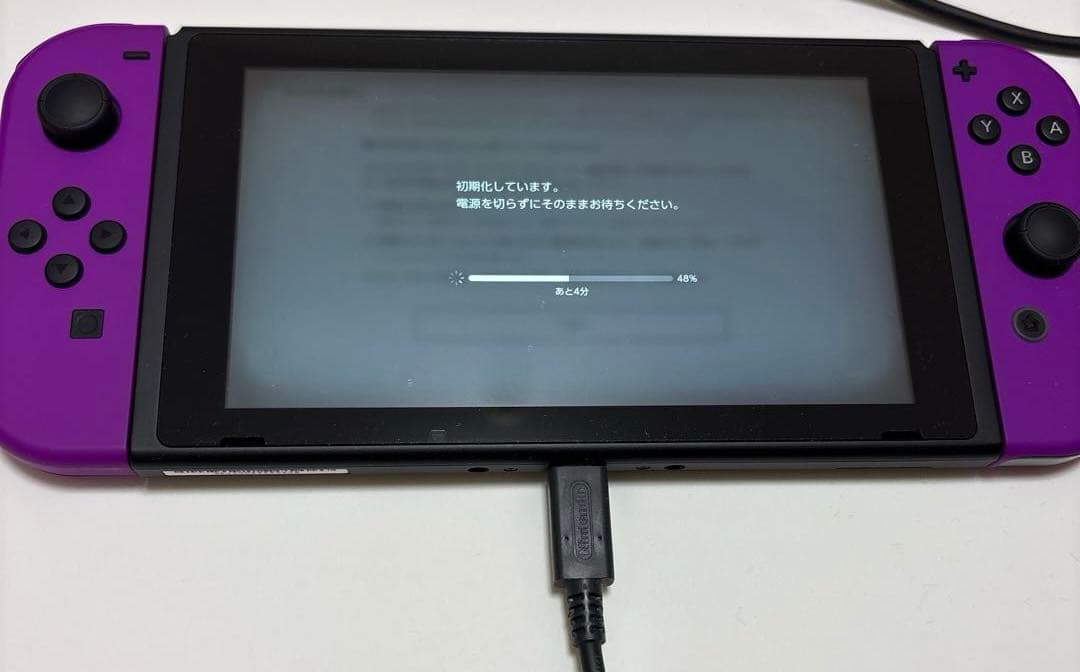 Nintendo Switch ストア限定版 カラーカスタマイズ