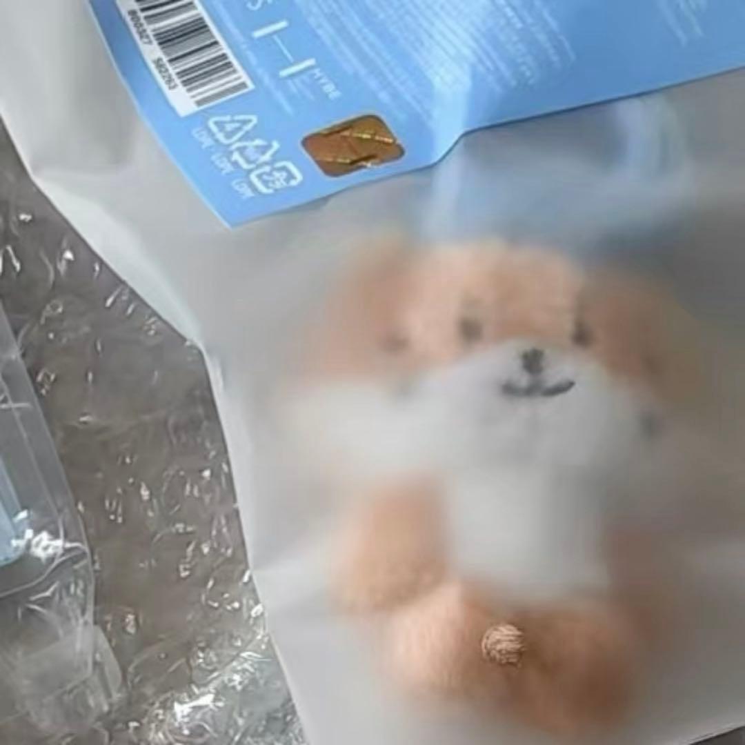 SEVENTEEN MINITEEN デコバンド CHANDALEE