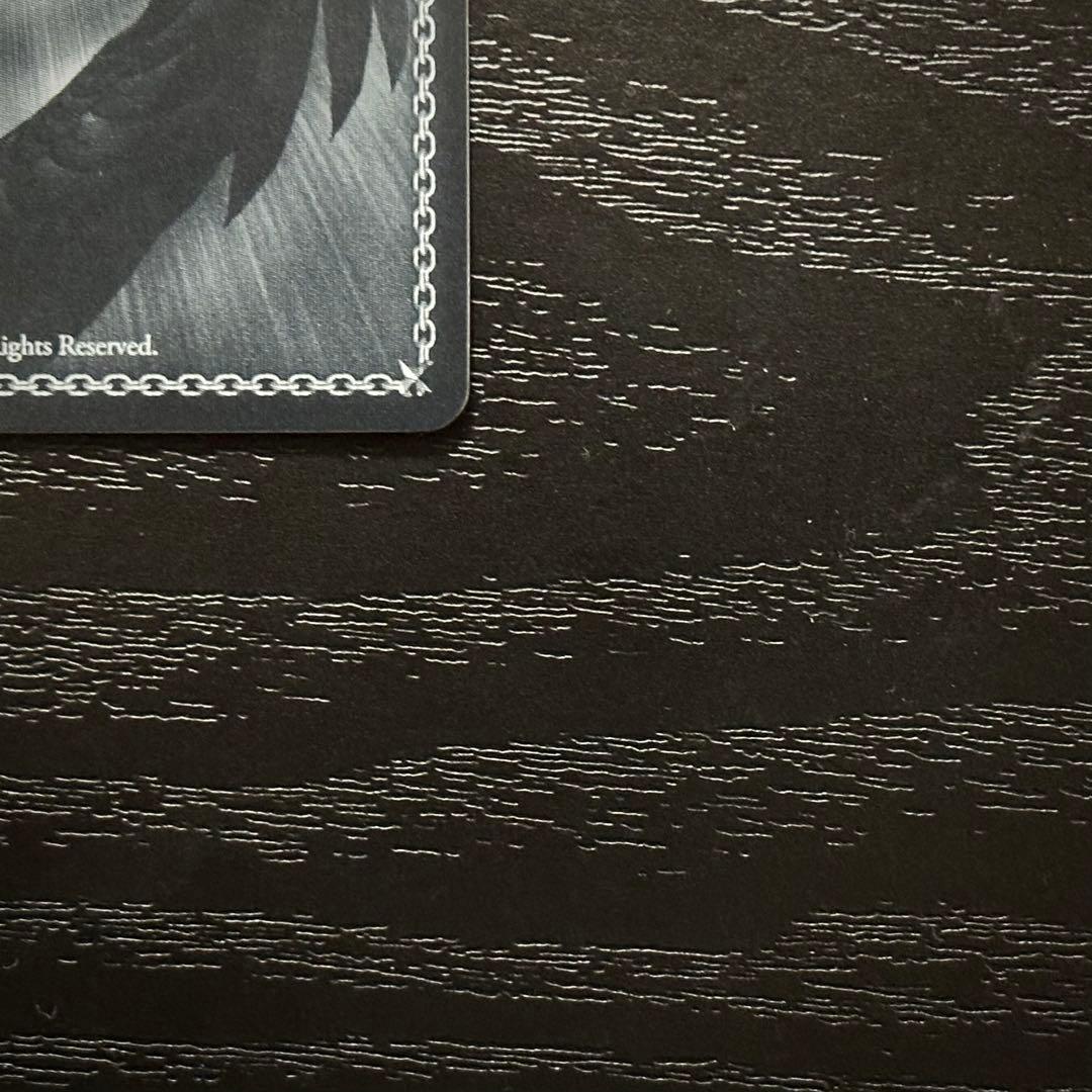 WS 次のキャンプ リン SSP サイン