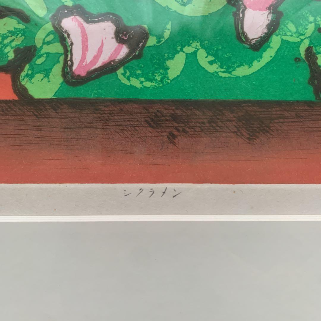 宮下登喜雄　シクラメン